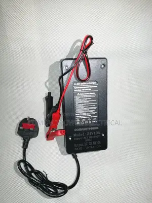 24v (28.8v) 10a Smart Lifepo4 Intelligent Charger