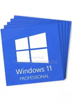 Windows 11 Pro 1pc