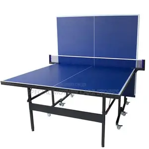 Indoor Table Tennis Board