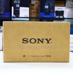 Sony A Cinema Line Fx30 Body