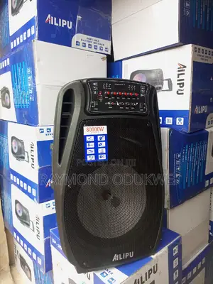 Big 15 "Inch Bluetooth PA Speaker System