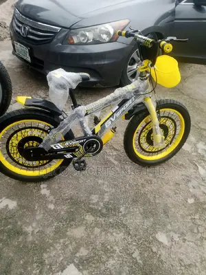 Standard Children Bicycle