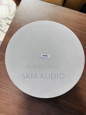 Promic 50watt Frameless Ceiling Speaker