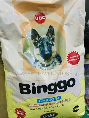 Binggo Adult