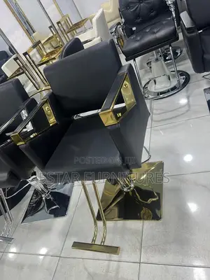 Salon Chair