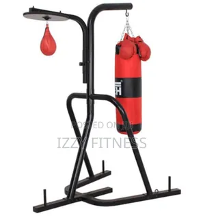 Punching Bag Stand With Speed Ball