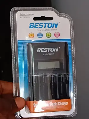 Beston Battery Charger (Digital)