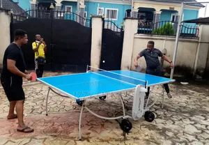 Outdoor Table Tennis  Board