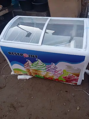 Display Freezer for Ice Cream 350L