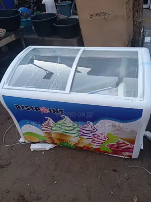 2doors Ice Cream Display Freezer
