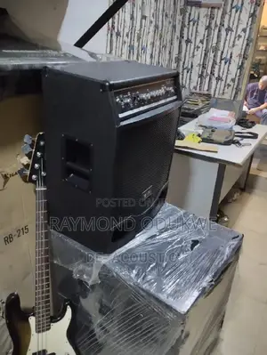 Professional High Quality Bass Guitar Combo
