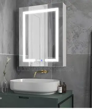 Stainless Steel Cabinet Mirror With Light