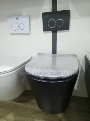 Round Black Conceal Water Closet