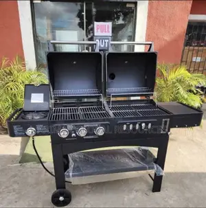 Gas and Charcoal Barbecue Grill (Combination)