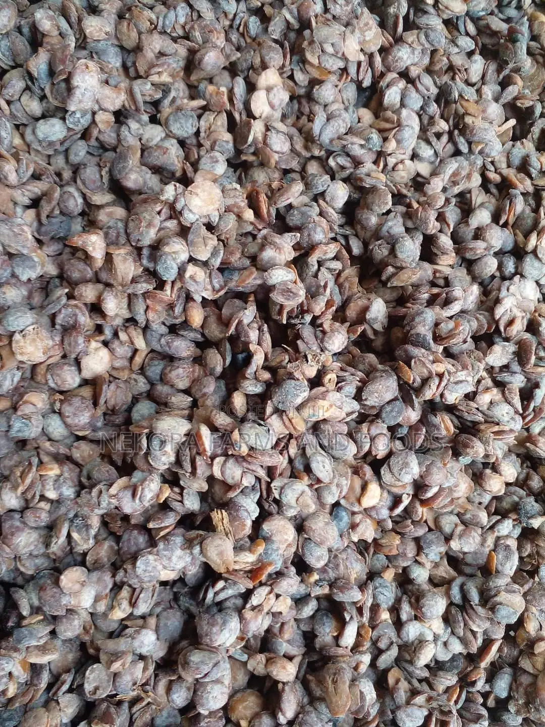 Dried Iru (Locust Beans)