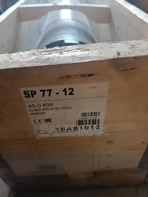 Submersible Grundfos Pump
