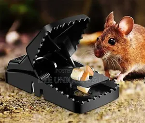 Heavy Duty Rat Trap Reusable Plastic Mouse Traps for All