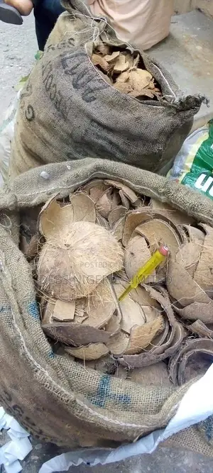 Coconut Shells 50 Kg