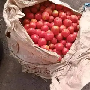 Fresh Tomatoes