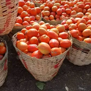 Fresh Tomatoes Basket