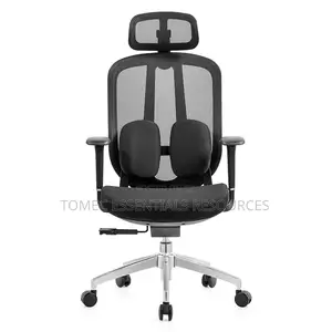 Imported Quality Mesh Chair With Super Lumber Support