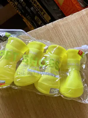 Dog Shoes for All Dogs