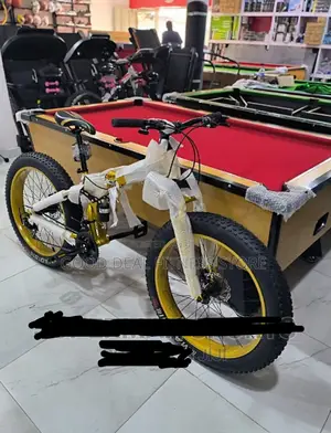 High Standard Quality Big Tyre Bicycle