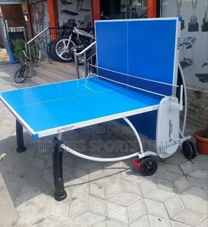 Table Tennis Board Outdoor Waterproof