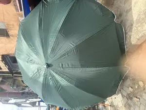Biggest Umbrella Size 60”