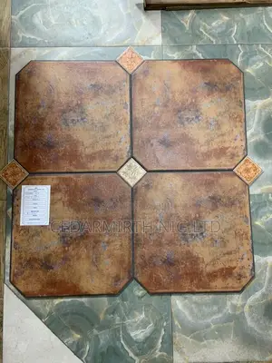 Toilet Kitchen Floor Tile ( Taco )