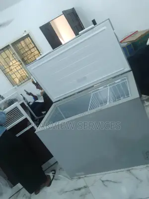 Unique Hisense Chest Freezer Fc390sh