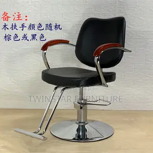 Modern Unisex Saloon Chair