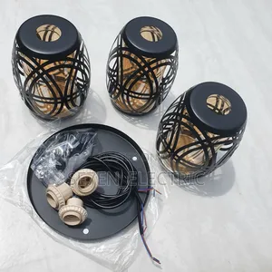 3in1 Dropping Lights Fittings