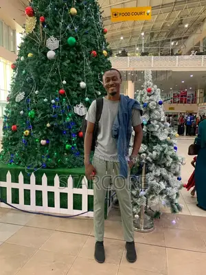 Wordpress/Shopify Developer