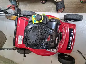 Original Cutting Mower the Best 4hp