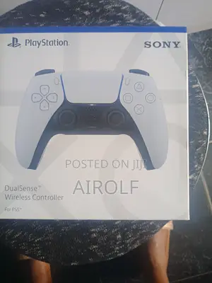 PS5 New Pad