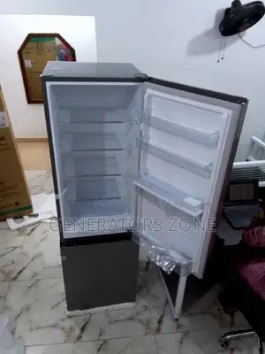 Hisense 264l Bottom Freezer Refrigerator (Silver)