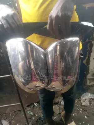 Side Mirror for High Lander