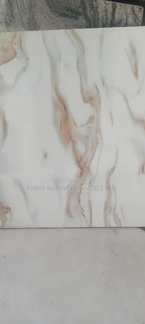 60x60 High Quality Nigeria Floor Tiles