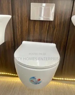 England Standard Concealed Tank and Wall Hung White Wc
