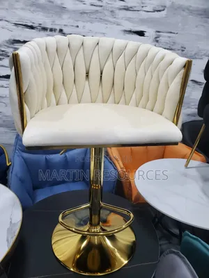 Adjustable Bar Stool