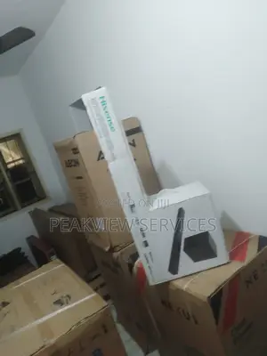 The Premium Hisense 300W[Ax2107g]