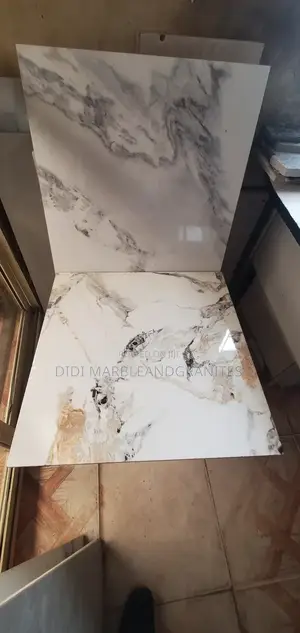 Hall Floor Tiles 60x60