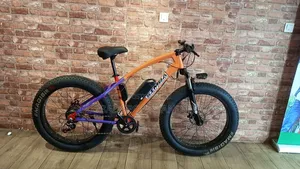 Fat Giant Tyre Electric Bicycle