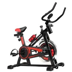 Fancy Spinning Fitness Bike