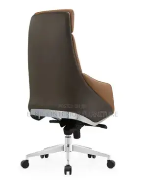 Ergonomic Executive Director Office Chair