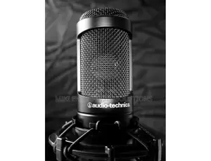 Audio-Technica AT2035 Cardioid Condenser Microphone