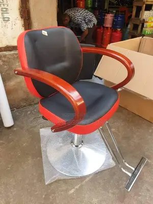 Professional Salon, Barber and Spa Leather Chair