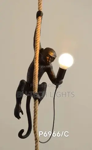 Monkey Dropping Light