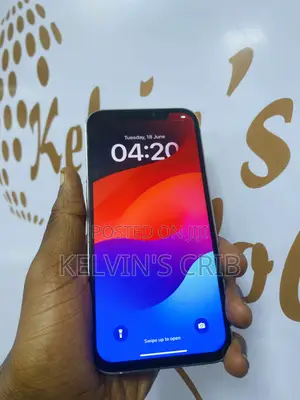 Apple iPhone 12 Pro Max 256 GB White